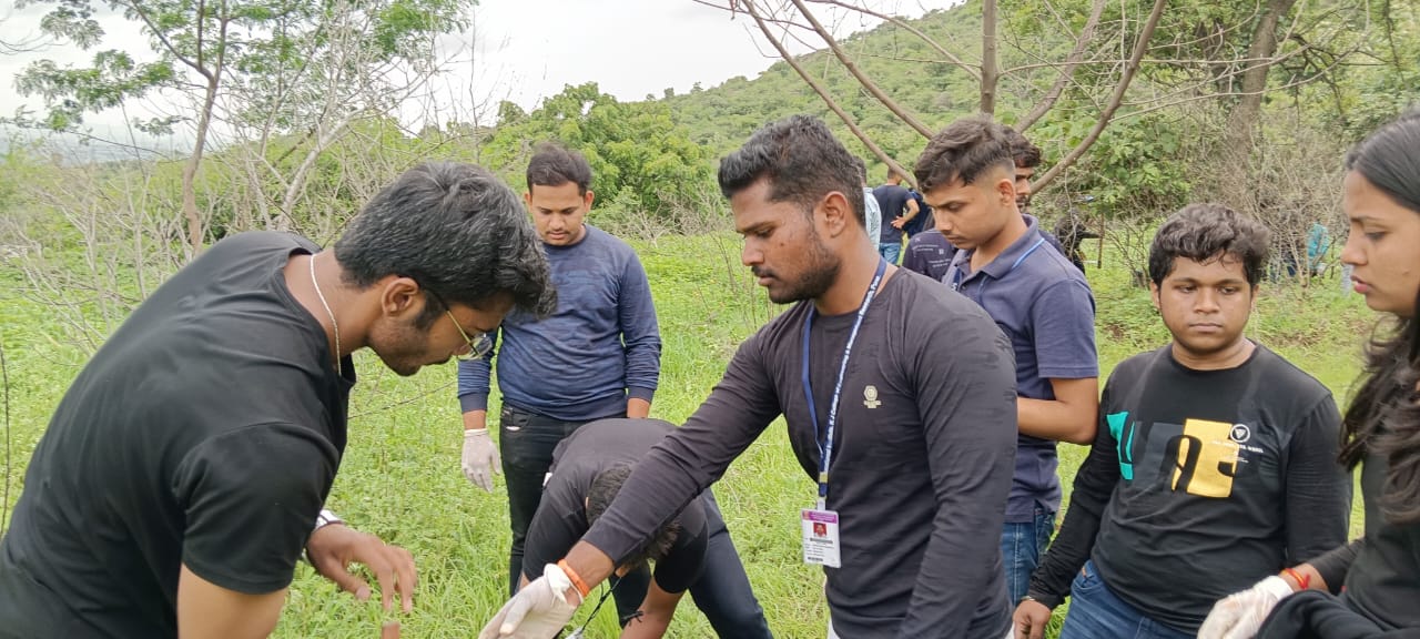 Tree Plantation Drive