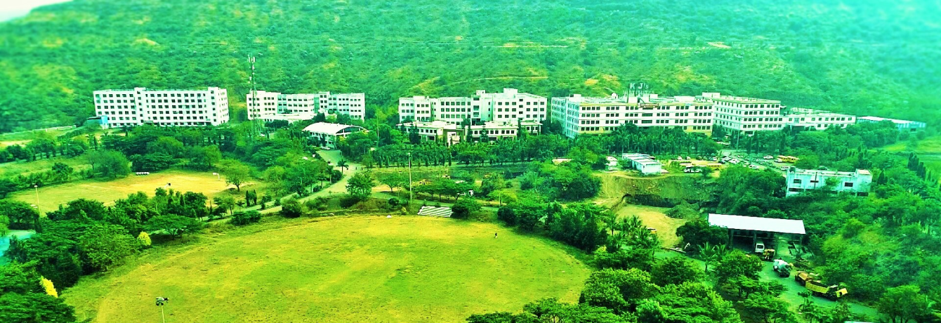 Explore Our Programs