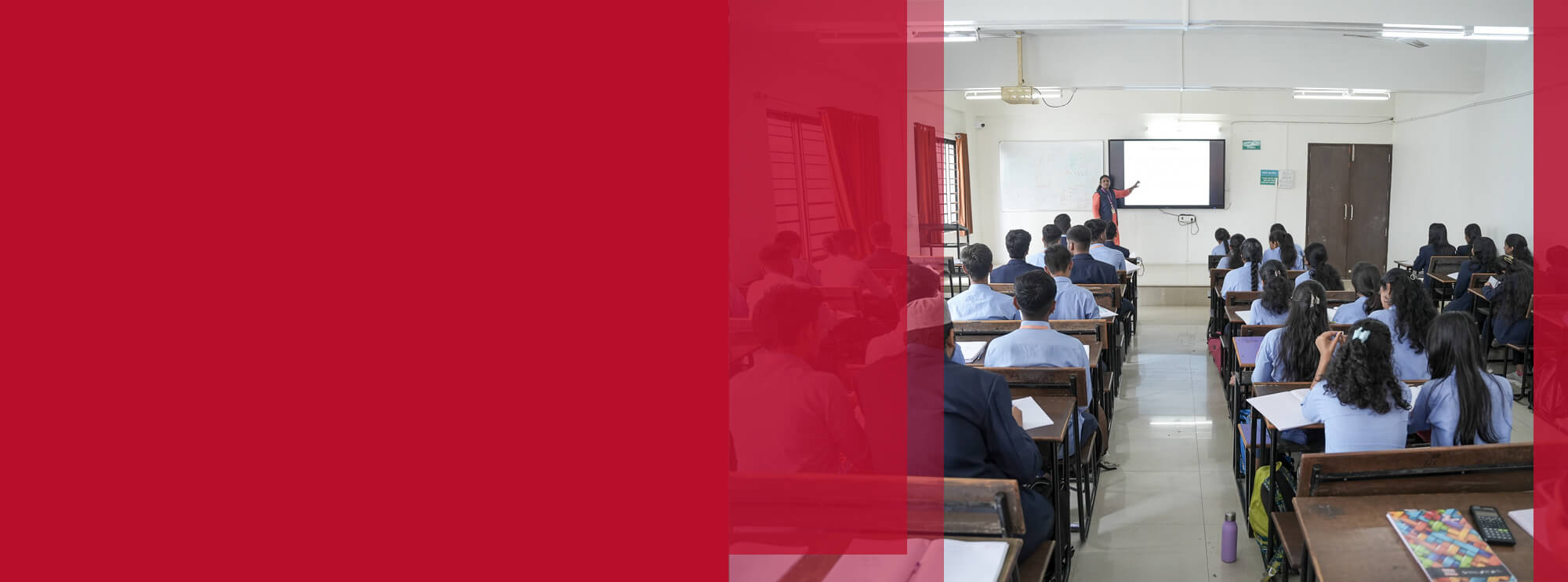 Explore Our Programs