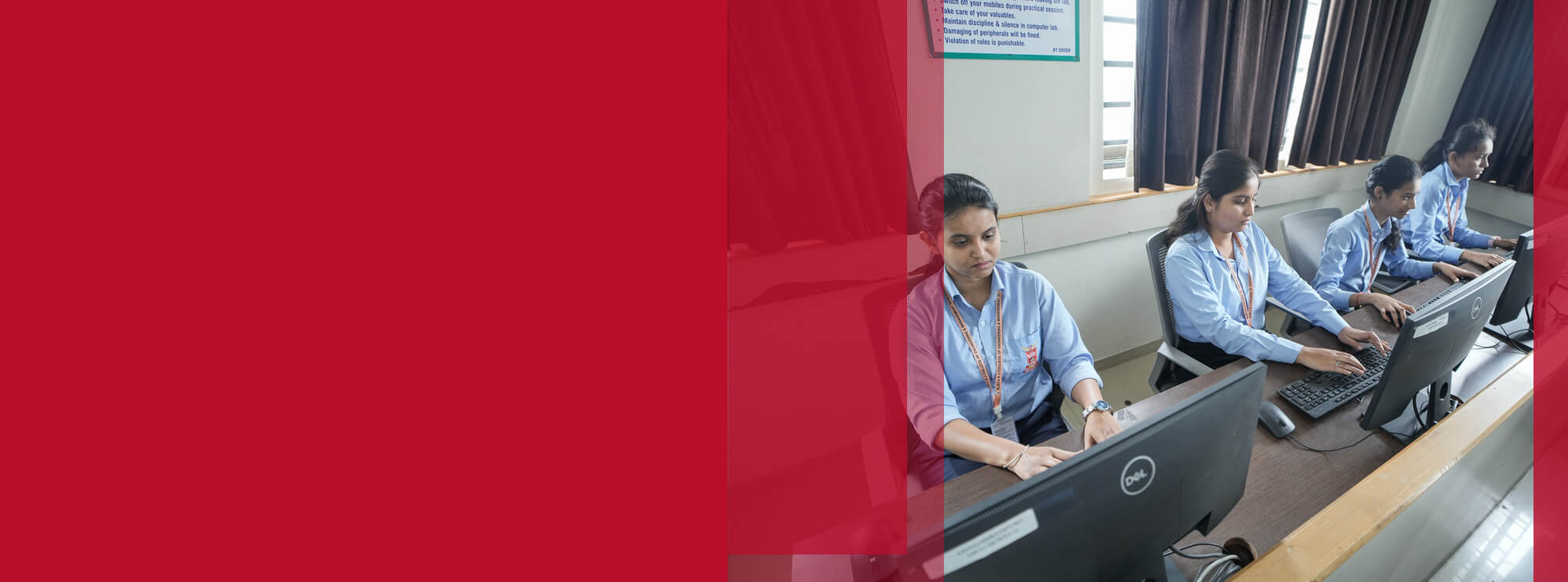 Explore Our Programs