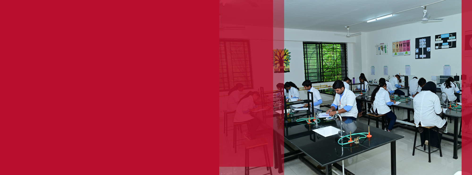 Explore Our Programs