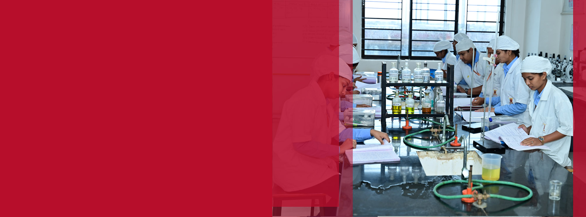 Explore Our Programs