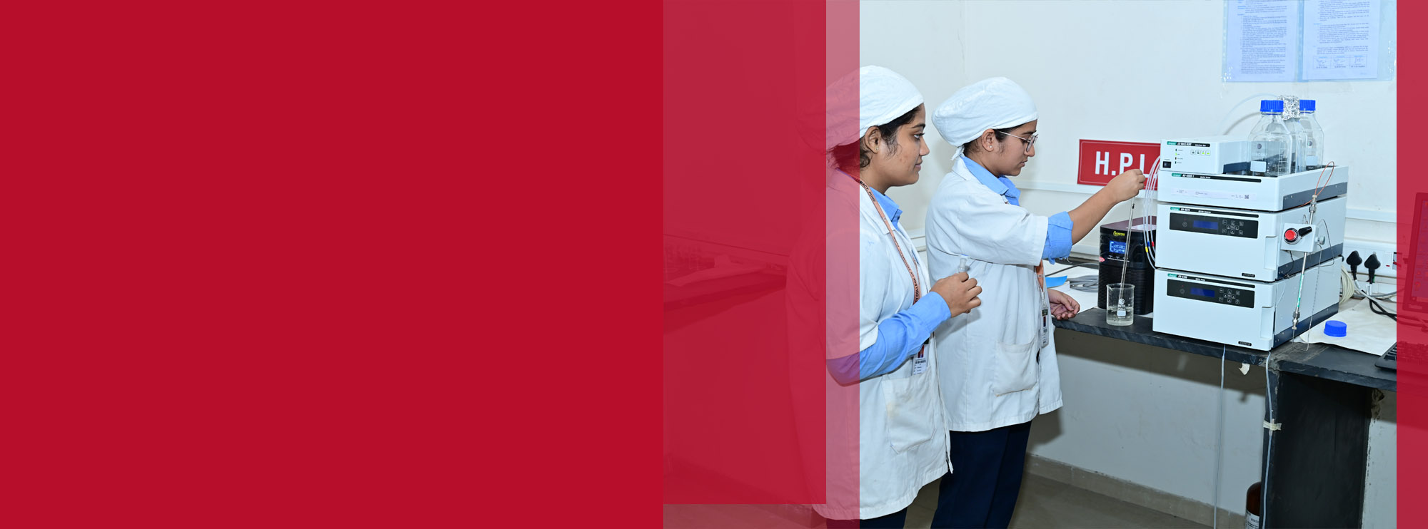 Explore Our Programs