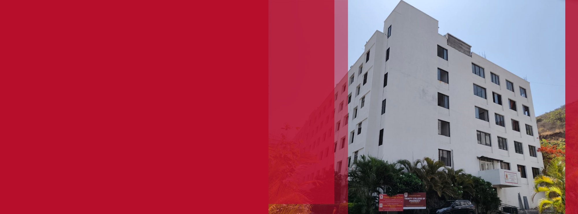 Explore Our Programs