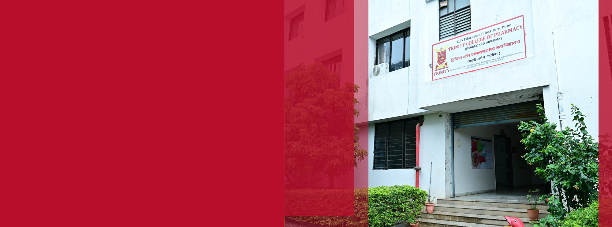 Explore Our Programs