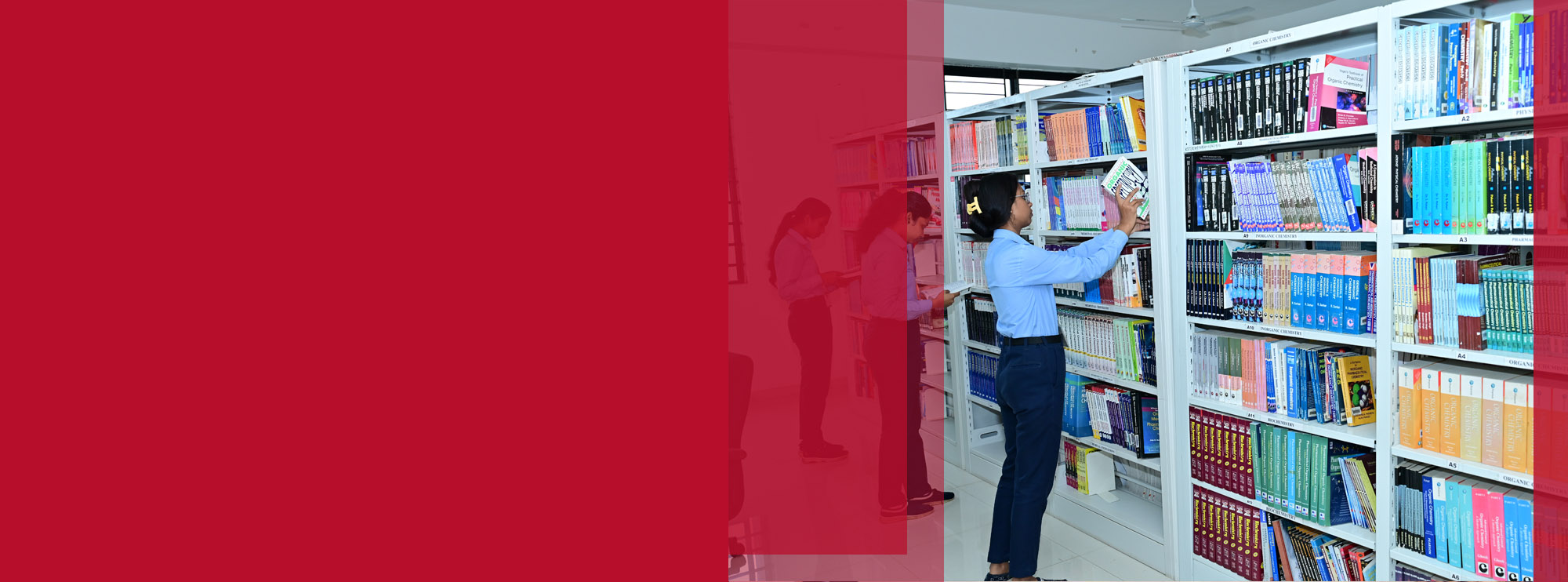 Explore Our Programs