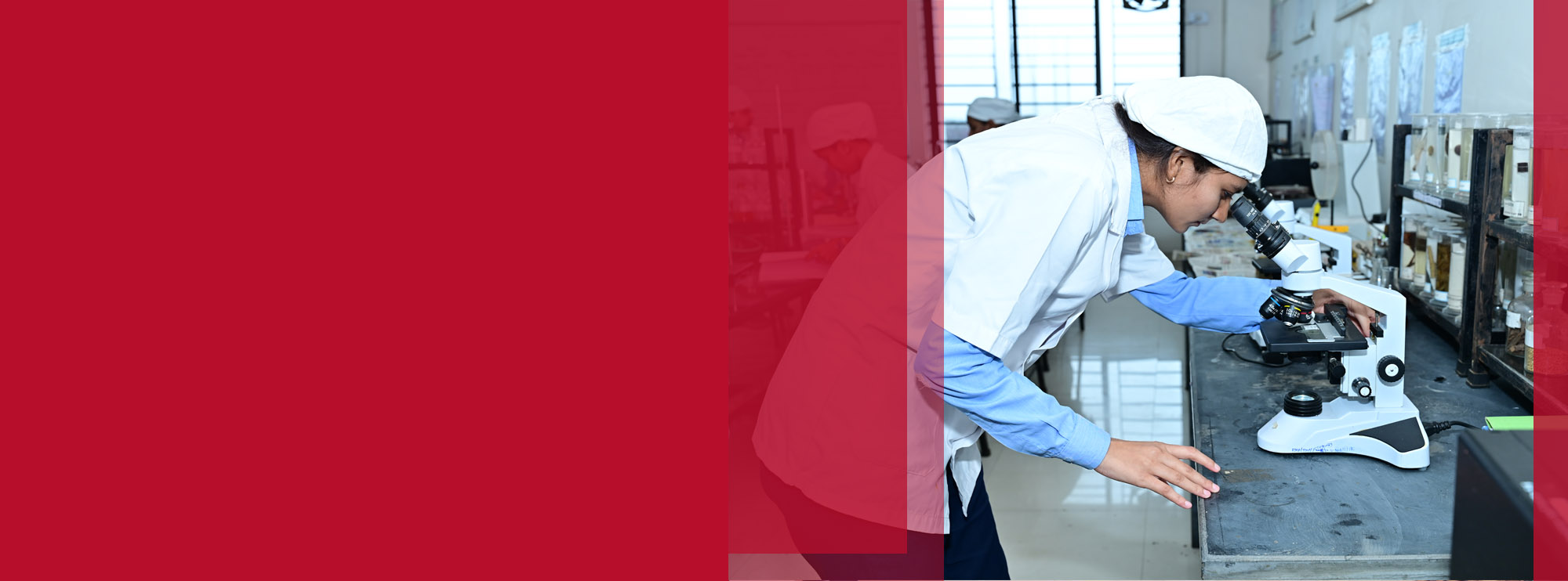 Explore Our Programs