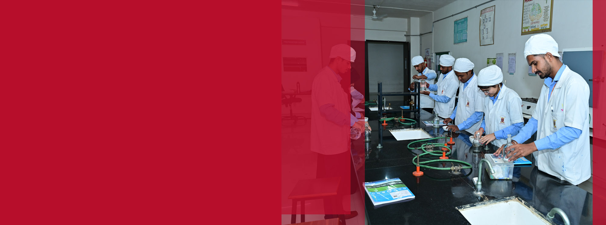 Explore Our Programs