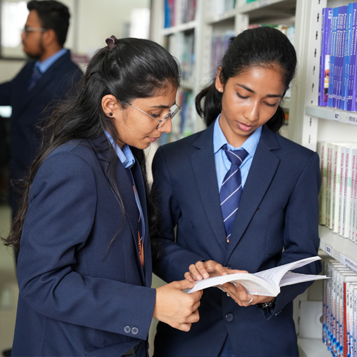 Explore Our Programs