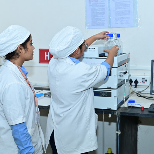 Explore Our Programs