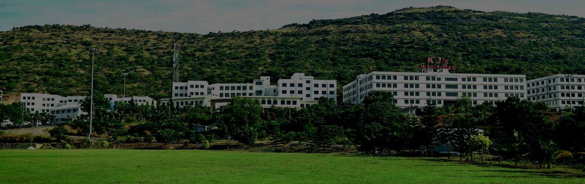 Explore Our Programs